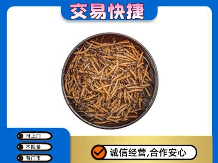 运城高价回收散虫草